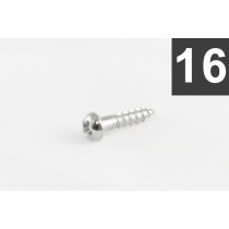 ALLPARTS GS-3376-010 Pack of 16 Chrome Small Tuner Screws 
