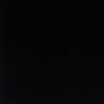 ALLPARTS PG-0395-034 Black Pickguard Blank 