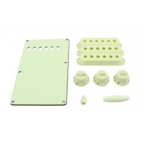 ALLPARTS PG-0549-024 Mint Green Accessory Kit for Stratocaster 