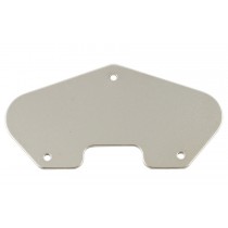 ALLPARTS PU-6937-001 Steel Ground Plate for Telecaster 