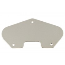 ALLPARTS PU-6937-001 Steel Ground Plate for Telecaster 