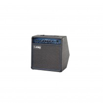 Laney Richter RB2 Bassforsterker 30W