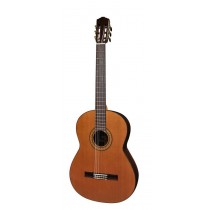 Salvador Cortez CC-60-BA Solid Top Concert Series 6-string bass guitar, solid cedar top, with deluxe case