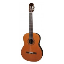 Salvador Cortez CC-60 Solid Top Concert Series classic guitar, solid cedar top, rosewood back and sides, with deluxe case