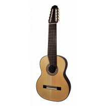 Salvador Cortez CS-60-10 Solid Top Concert Series 10-string classic guitar, solid spruce top, rosewood backand sides, bone, deluxe case