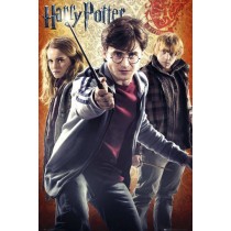 Filmplakat - Harry Potter 7 "Trio" - Plakat 156