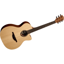 Lag T70ACE Auditorium Cutaway med mikrofonsystem