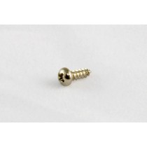 ALLPARTS GS-3206-001 Truss Rod Cover Screws