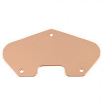 ALLPARTS PU-6937 Ground Plate for Telecaster 
