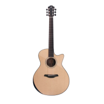 Furch Yellow Deluxe Gc-SR - Akustisk gitar med heltre grantopp inkl. kasse