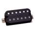 Tonerider Alnico II Classics Neck - Black